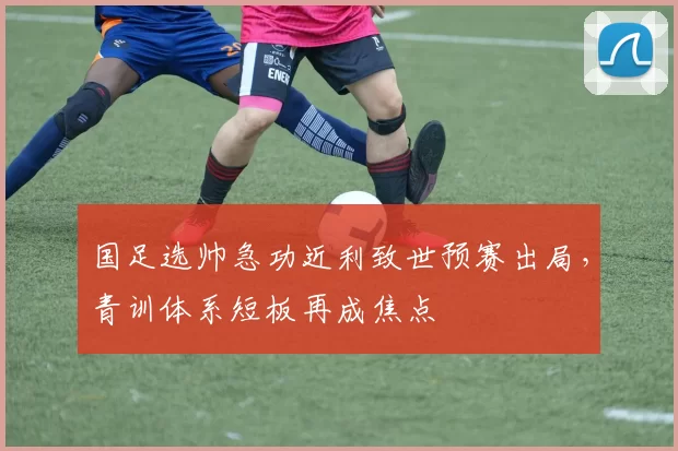 国足选帅急功近利致世预赛出局，青训体系短板再成焦点