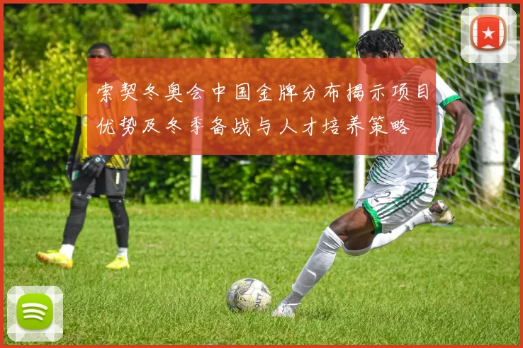 索契冬奥会中国金牌分布揭示项目优势及冬季备战与人才培养策略