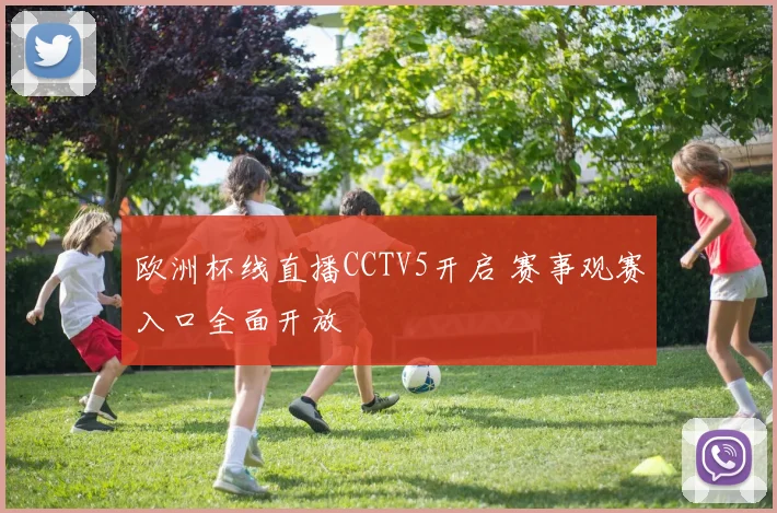 欧洲杯线直播CCTV5开启 赛事观赛入口全面开放