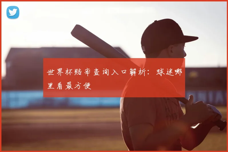 世界杯赔率查询入口解析：球迷哪里看最方便