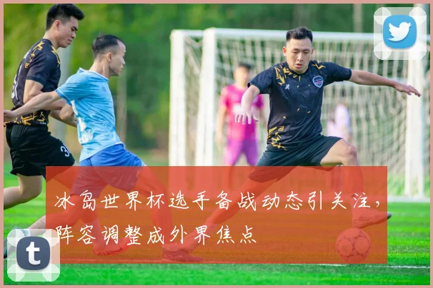 冰岛世界杯选手备战动态引关注，阵容调整成外界焦点