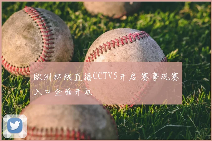 欧洲杯线直播CCTV5开启 赛事观赛入口全面开放